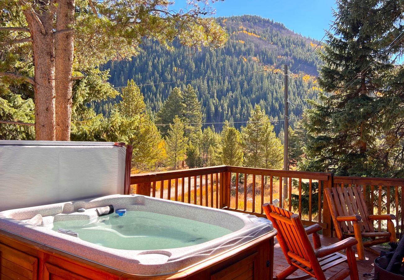 Cabin in Breckenridge - Cabin, Private Hot Tub, Breck + Quandary 14er