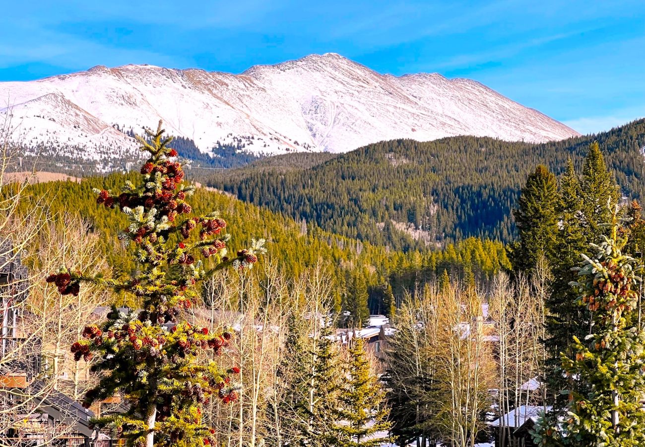 Townhouse in Breckenridge - WOW views + Private Hot Tub, Walk to Breck