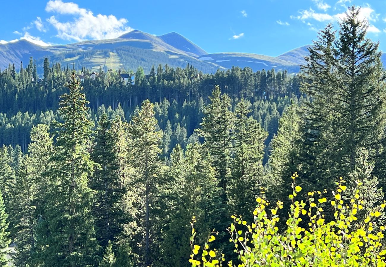 Townhouse in Breckenridge - WOW views + Private Hot Tub, Walk to Breck