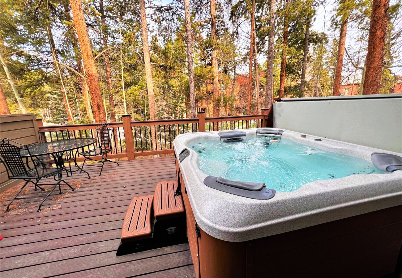 Condominium in Breckenridge - Walk to Lift + Historic Breck, Private Hot Tub