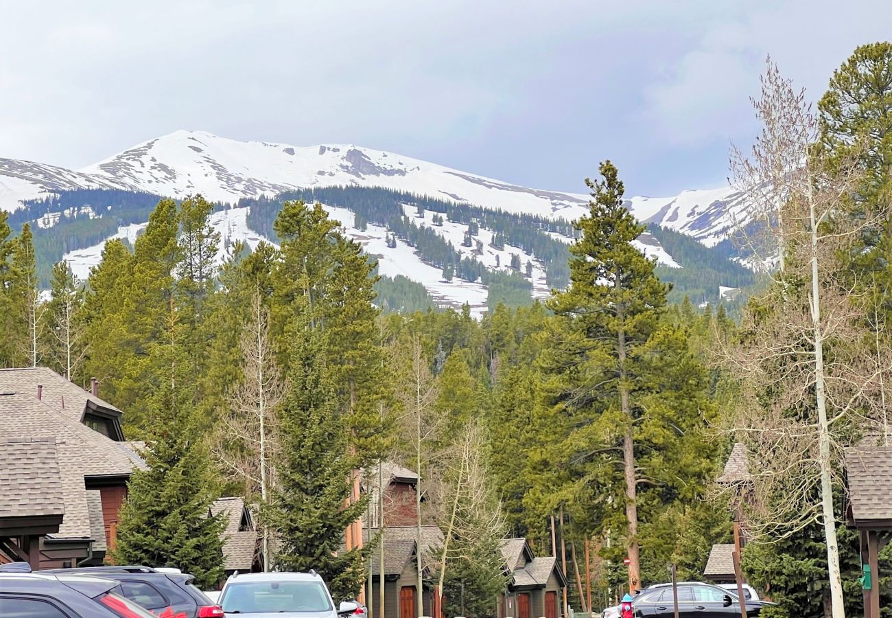 Condominium in Breckenridge - Walk to Lift + Historic Breck, Private Hot Tub