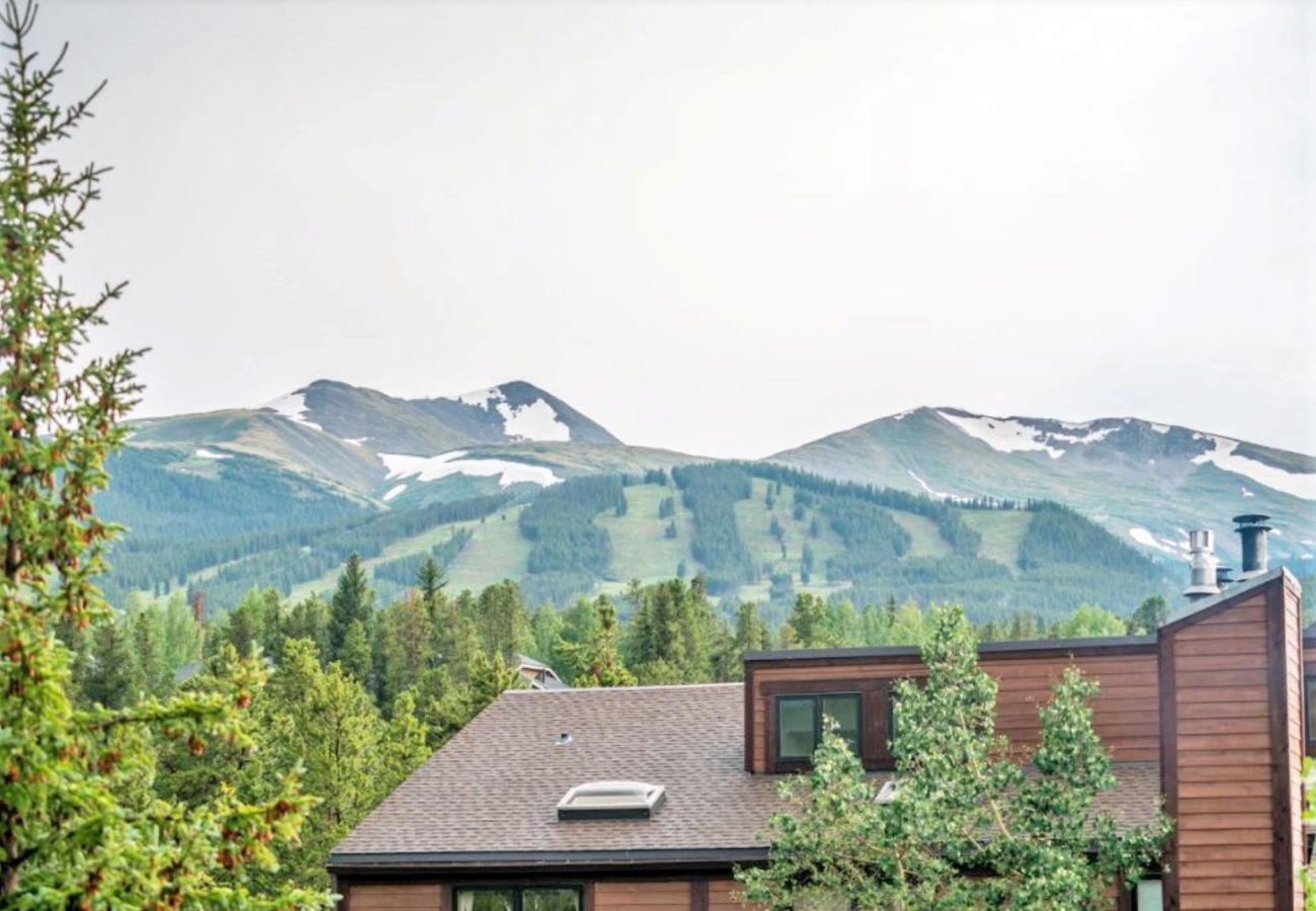 Condominium in Breckenridge - Near Snow Flake Lift+Main St Breck Pool + Hot Tubs