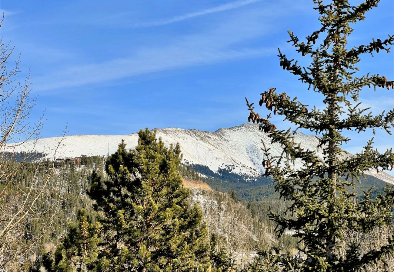 Condominium in Breckenridge - Near Snow Flake Lift+Main St Breck Pool + Hot Tubs