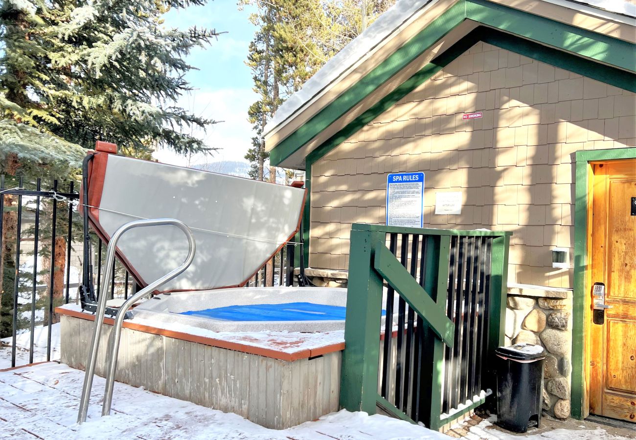 Condominium in Breckenridge - Ski-In 4 O'clock Run In Historic Breck Hot Tub