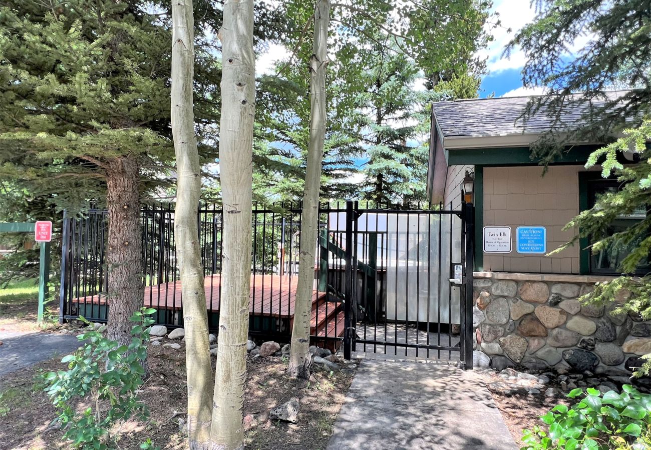 House in Breckenridge - Ski-In 4 O'clock Run In The Heart of Breck Hot tub