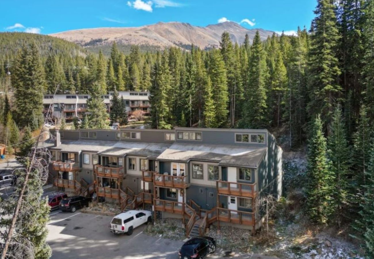 Townhouse in Breckenridge -  Mtn Top Condo 2 miles to Breck Gas Log Burner