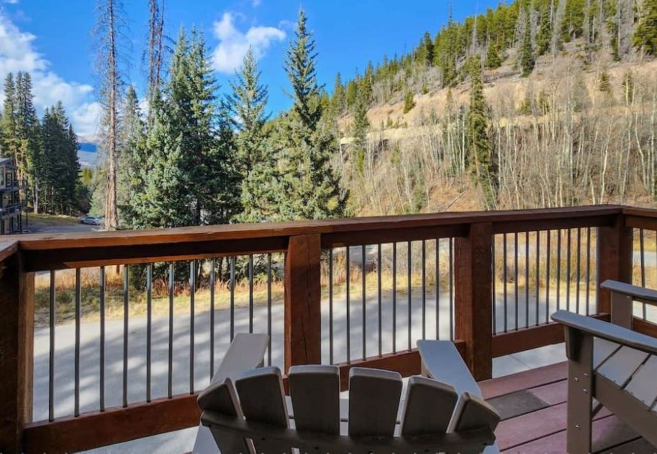 Townhouse in Breckenridge -  Mtn Top Condo 2 miles to Breck Gas Log Burner