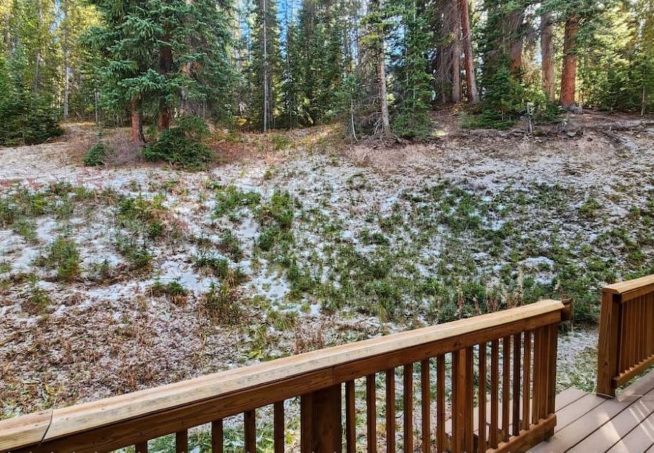 Townhouse in Breckenridge -  Mtn Top Condo 2 miles to Breck Gas Log Burner