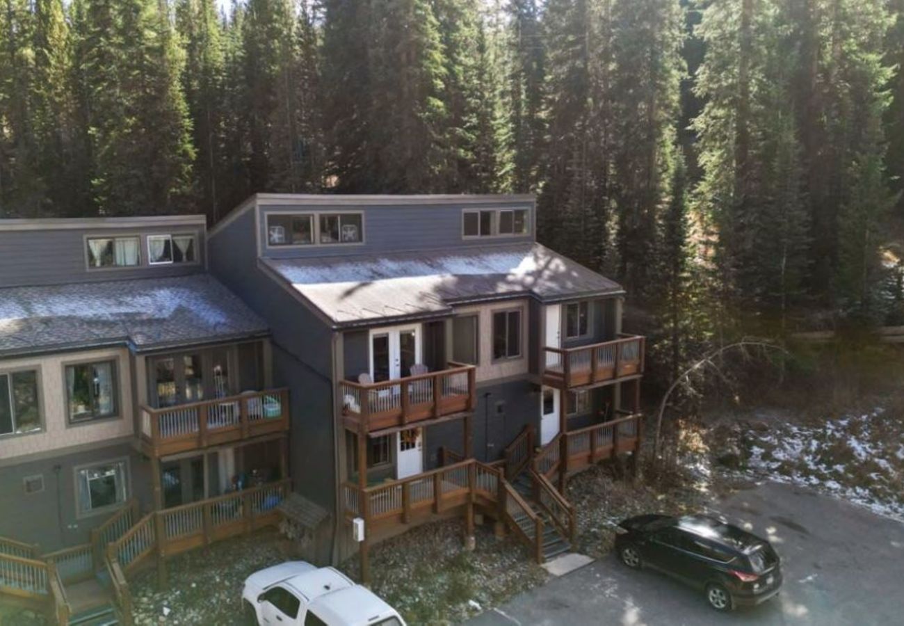 Townhouse in Breckenridge -  Mtn Top Condo 2 miles to Breck Gas Log Burner