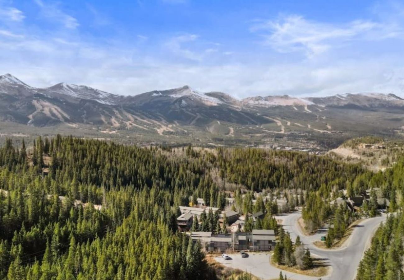 Townhouse in Breckenridge -  Mtn Top Condo 2 miles to Breck Gas Log Burner