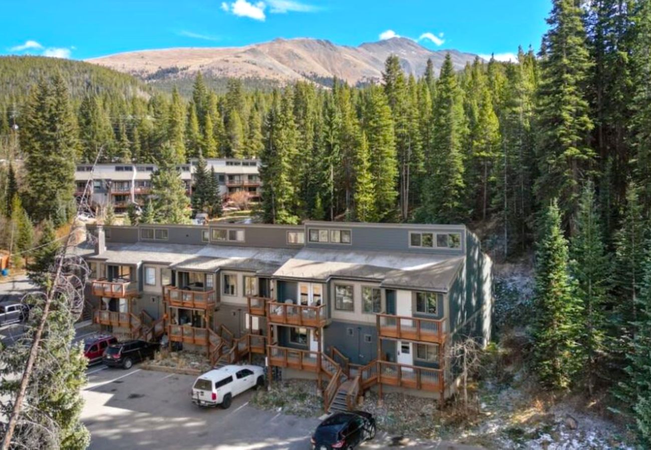 Townhouse in Breckenridge - Charming Condo Gas Log Burner, 2 miles to Ski Breck 