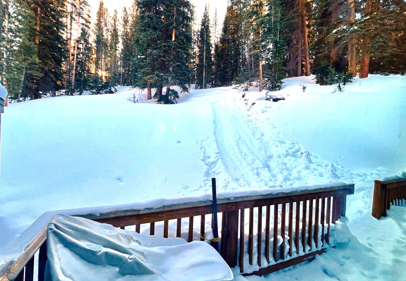 Townhouse in Breckenridge - Charming Condo Gas Log Burner, 2 miles to Ski Breck 