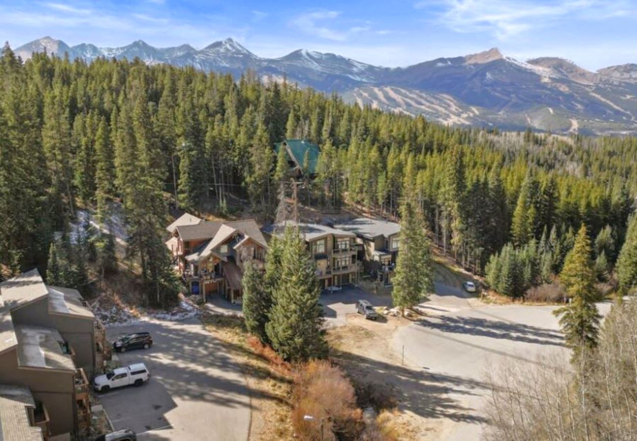 Townhouse in Breckenridge - Charming Condo Gas Log Burner, 2 miles to Ski Breck 