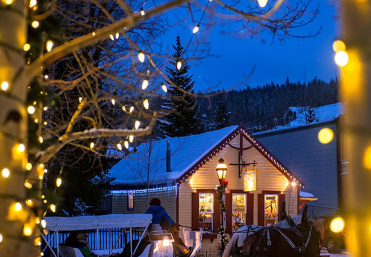 Cabin in Breckenridge - Log Home WOW Mtn. Views Log Stove 10 min. to Breck